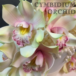 Diğer - Cattleya Orkide kesici ve damarlama seti