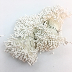 Diğer - Çiçek tohumu 1,5 mm Beyaz