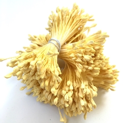 Others - Çiçek tohumu 2 mm Yellow