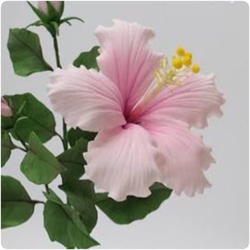 Others - Hibiscus kesici ve damarlama seti (1)