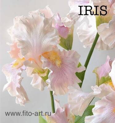 Iris kesici ve damarlama seti