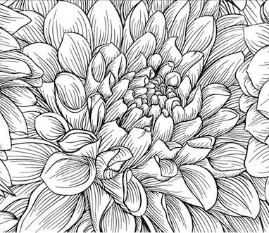 Mesh Stencil Crystal Collection; Chrysanthemum (36*18 cm)