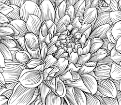 Paku Malzeme - Mesh Stencil Crystal Collection; Chrysanthemum (36*18 cm)