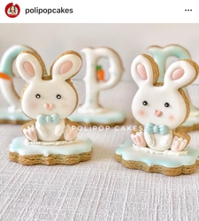 Paku Malzeme - Plastik kalıp Bunny-2; 9,0*6,5 cm (1)