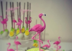 Silikon kalıp Flamingo&Monstera; 10,5*10 cm - Thumbnail