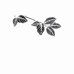 Paku Malzeme - Stencil Leaf Branch